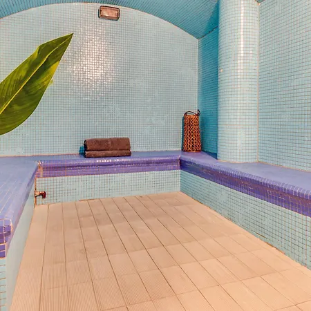 Sanders Seaview Klorakas